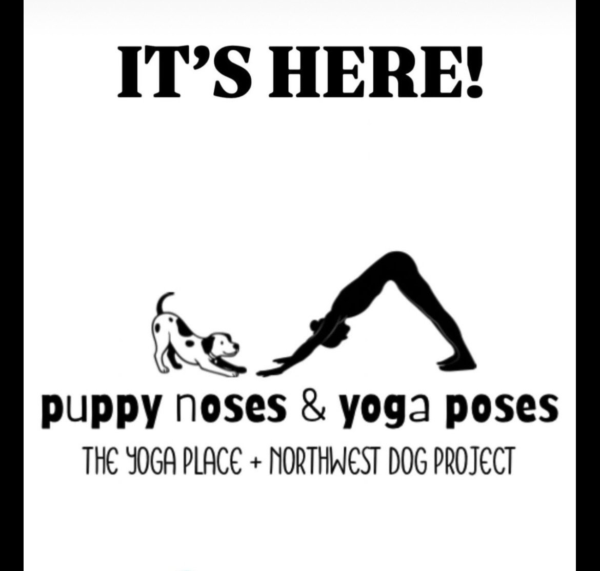 PUPPY YOGA CLASS